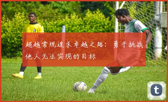 超越常规追求卓越之路：勇于挑战他人无法实现的目标